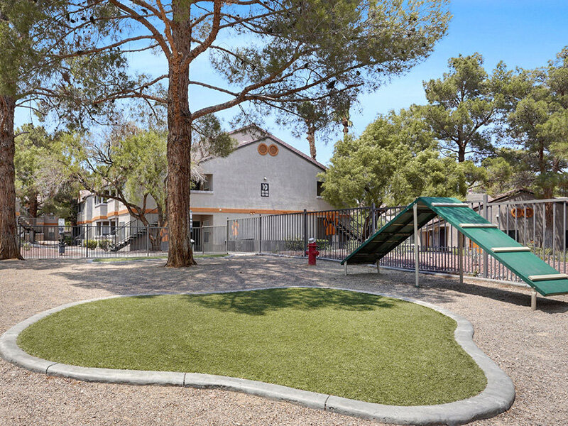 Pet Friendly Equipment | 20 Fifty One Apartments