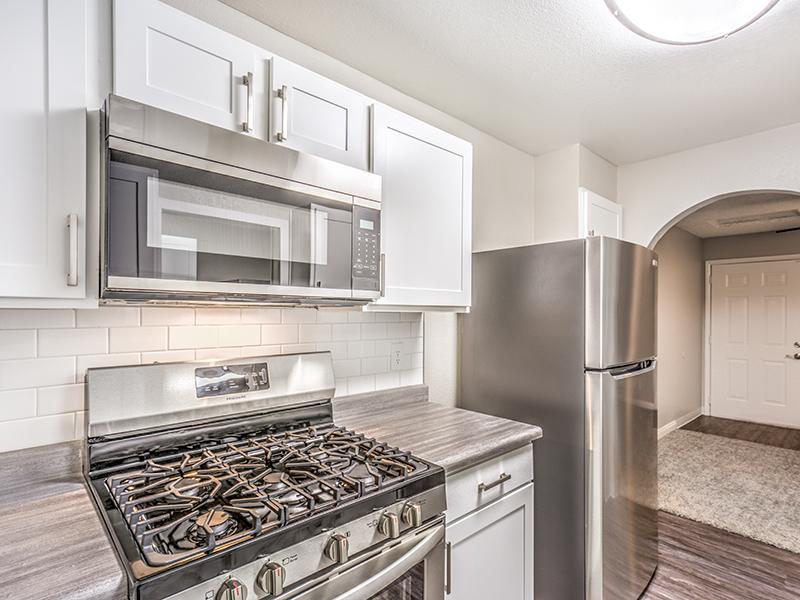 Stainless Steel Appliances | Agave Ridge