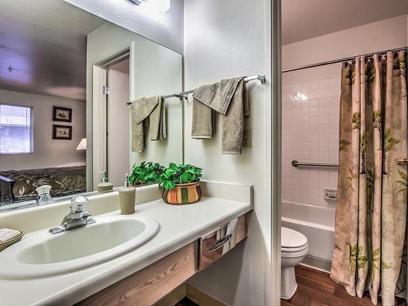 Bathroom | Boulder Palms Apartments in Las Vegas, Nevada