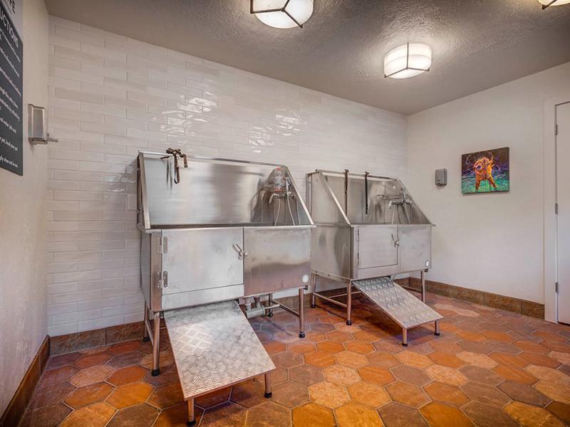 Pet Wash Stations | Santa Fe at Cottonwood Apartments in Cottonwood Heights, UT