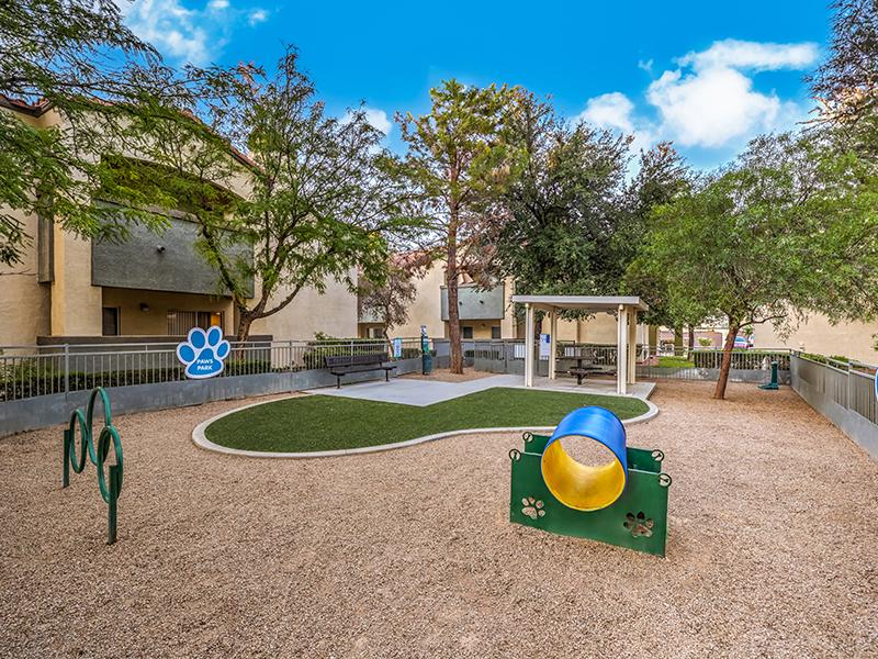 Dog Park | Parkway Townhomes