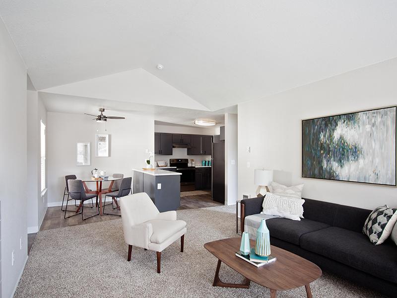 Carpeted Living Area | Passage Apartments