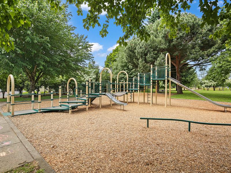 Playground | Andresen Park