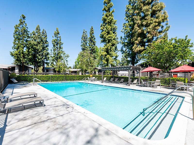 Pool | Portola Redlands Apartments in Redlands, CA