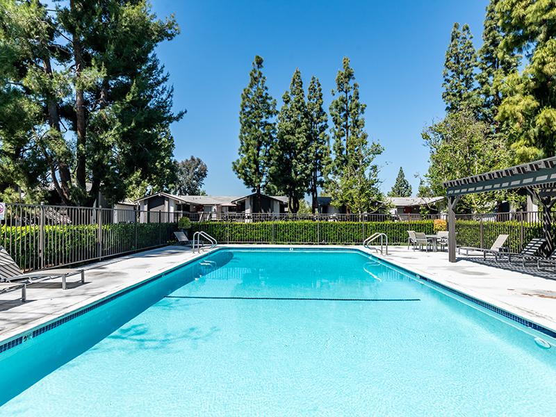 Swimming Pool | Portola Redlands Apartments in Redlands, CA