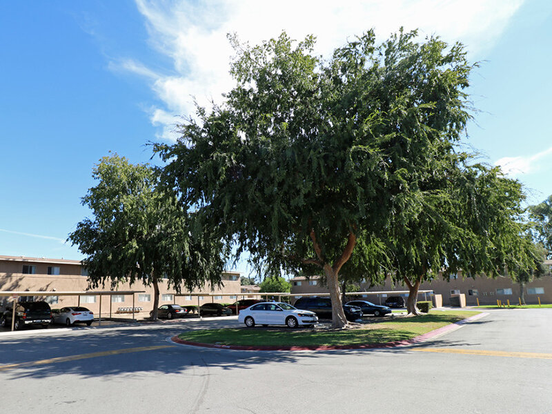 Parking Lot | Foothill Villas