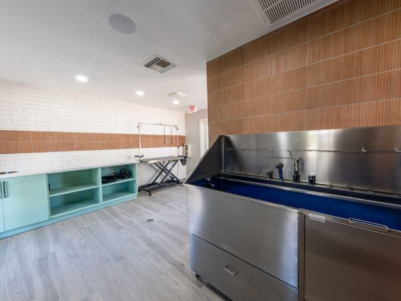 Pet Friendly | Cobblestone Apartments