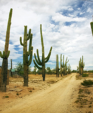 Usery Mountain Regional Park