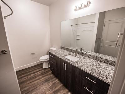 Bathroom | 2100 Apartments