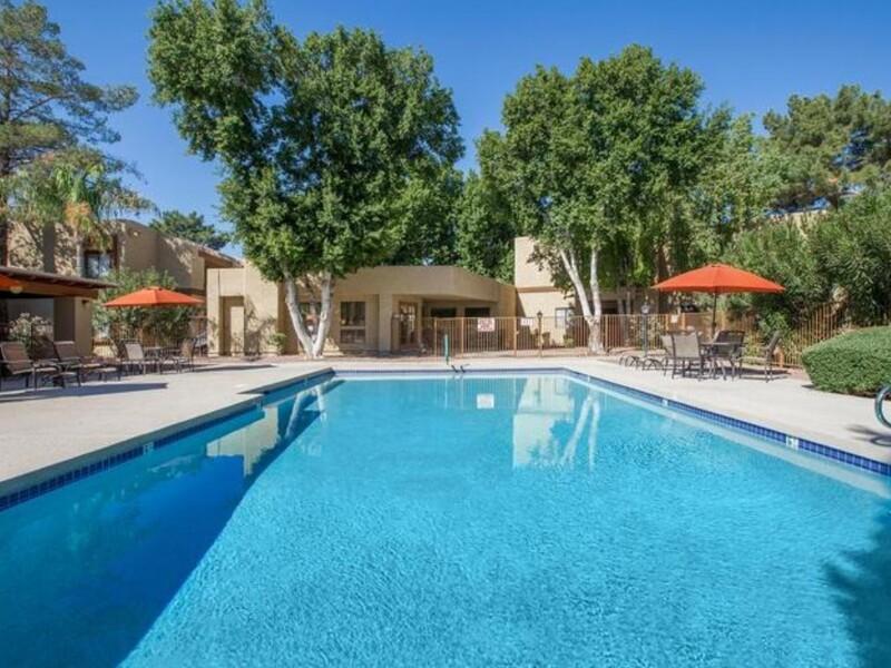 Shimmering Pool | Sun Wood Senior Apartments in Peoria, AZ