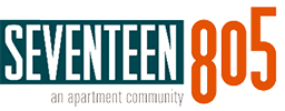 Seventeen 805 Logo - Special Banner