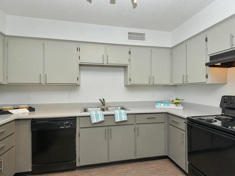 Fully Equipped Kitchens | Seventeen 805 an Apartment Community