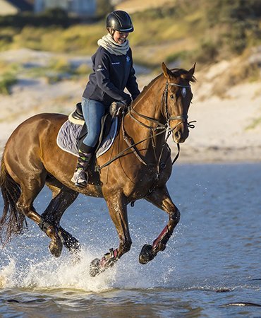 Horseshoe Park & Equestrian Centre