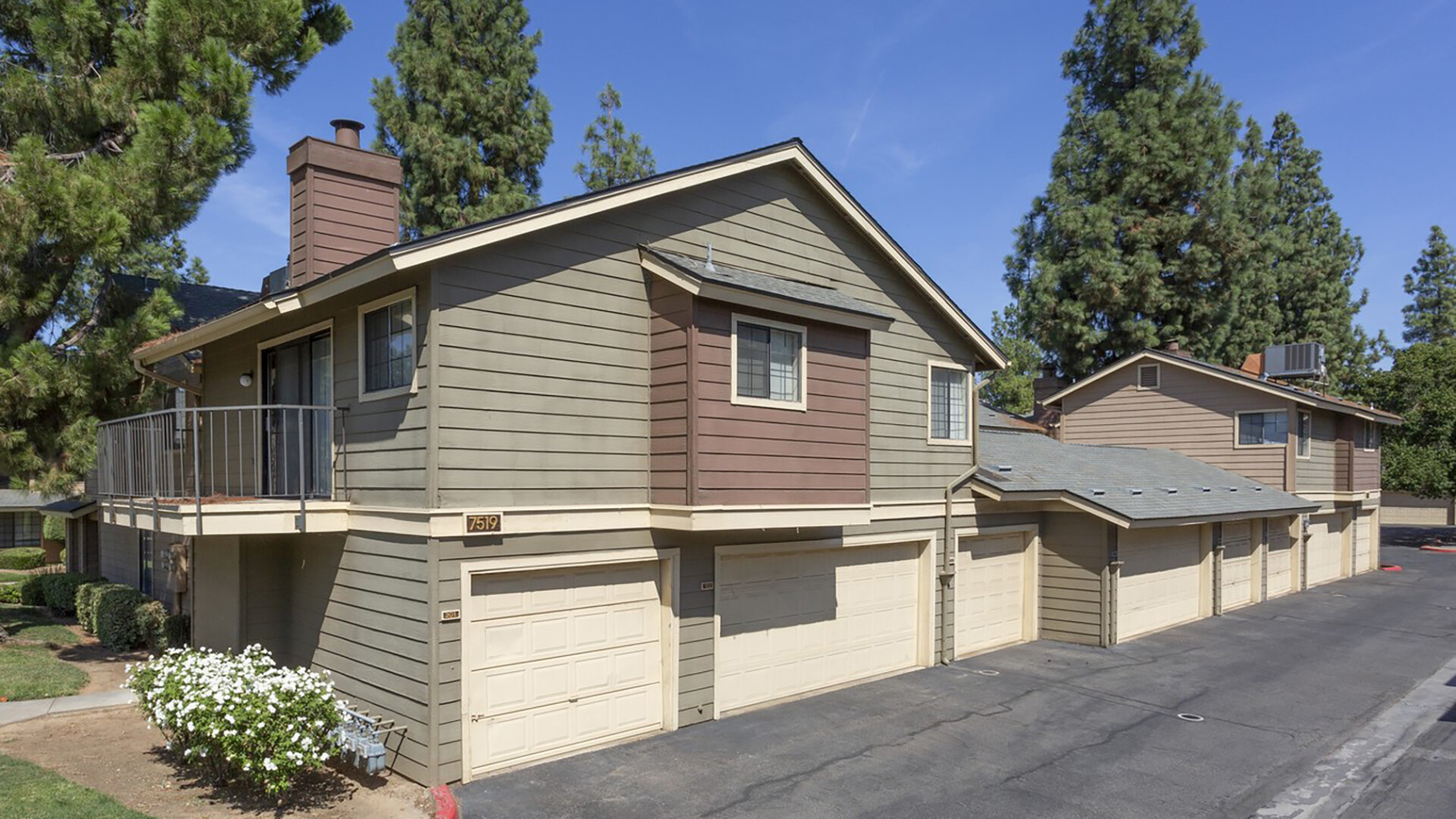 The Springs Apartments Amenities