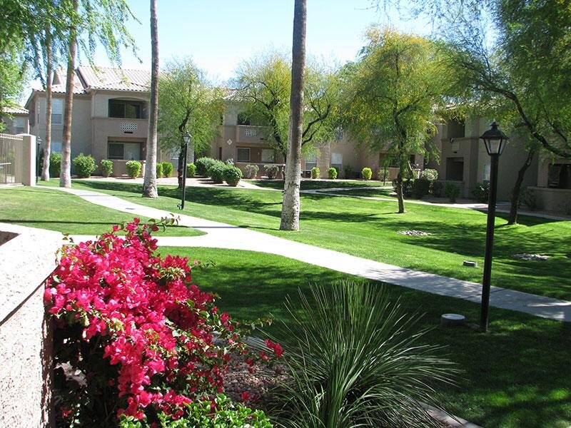 Beautiful Landscaping | Ocotillo Bay in Chandler, AZ