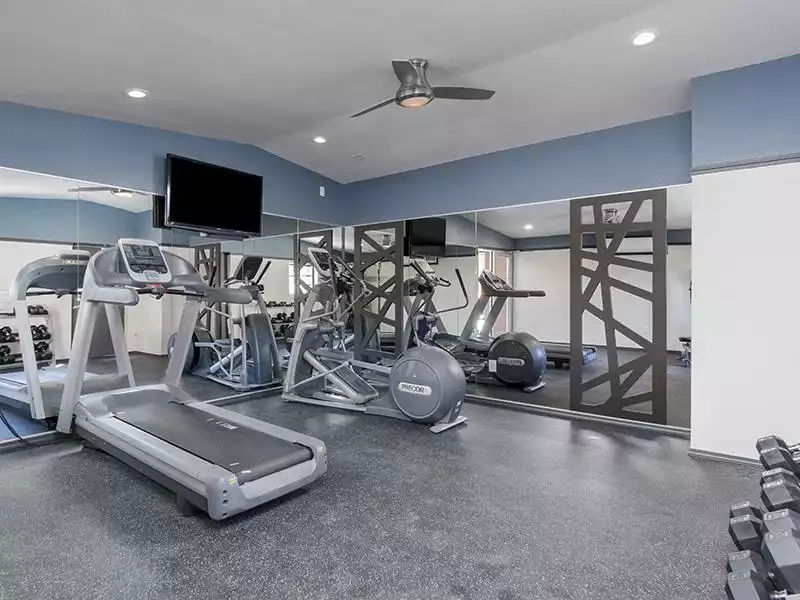 Fitness Center | Aria on Mill