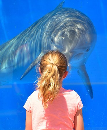 SEA LIFE Arizona Aquarium