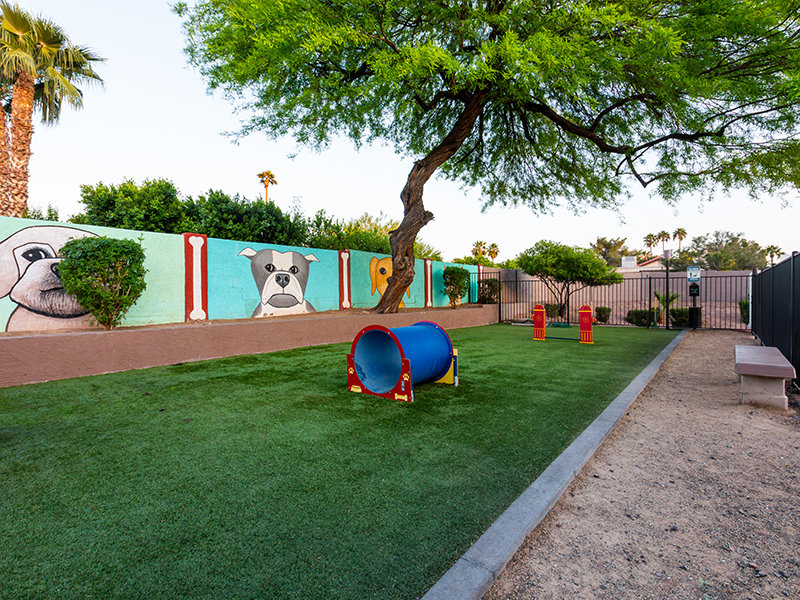 Dog Park | Talavera Apartment Homes