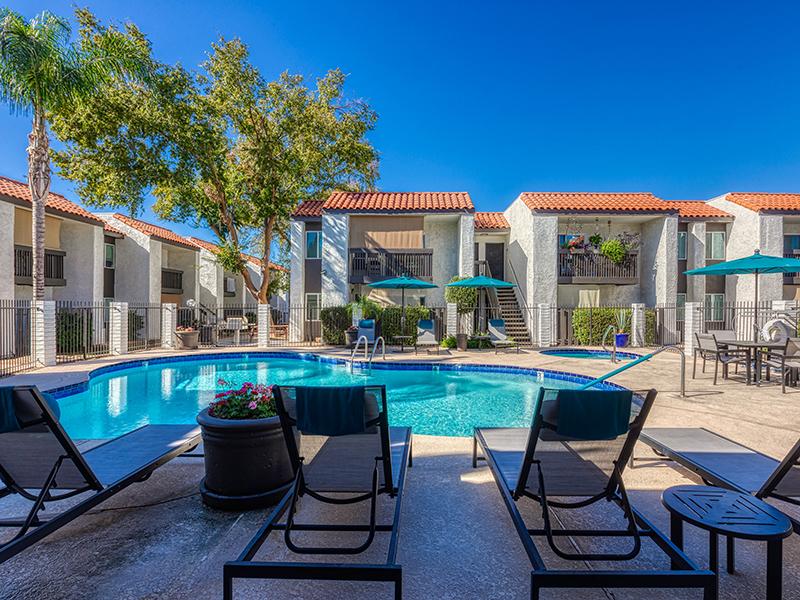 Pool | Park Paloma Apartments in Phoenix, AZ