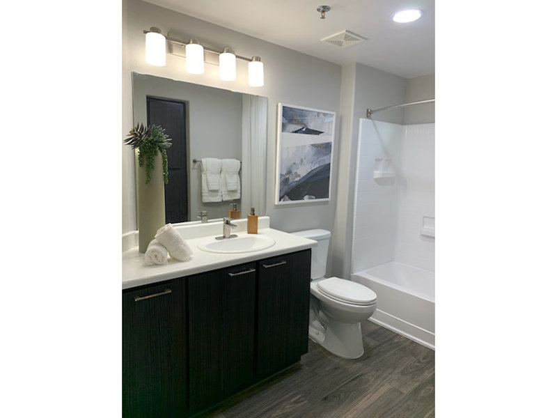 Bathroom | Legacy at Dove Mountain