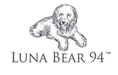 Luna Bear 94 in Phoenix, AZ