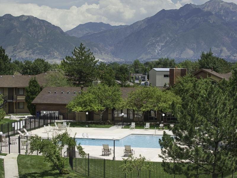 Swimming Pool and Apartment Buildings