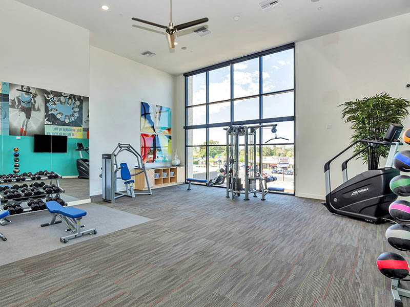 Gym | The Curve at Melrose Apartments in Phoenix, AZ
