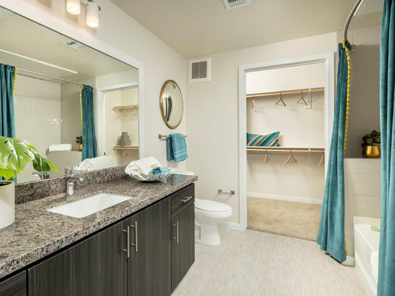 Bathroom and Closet | Skye at McClintock Station