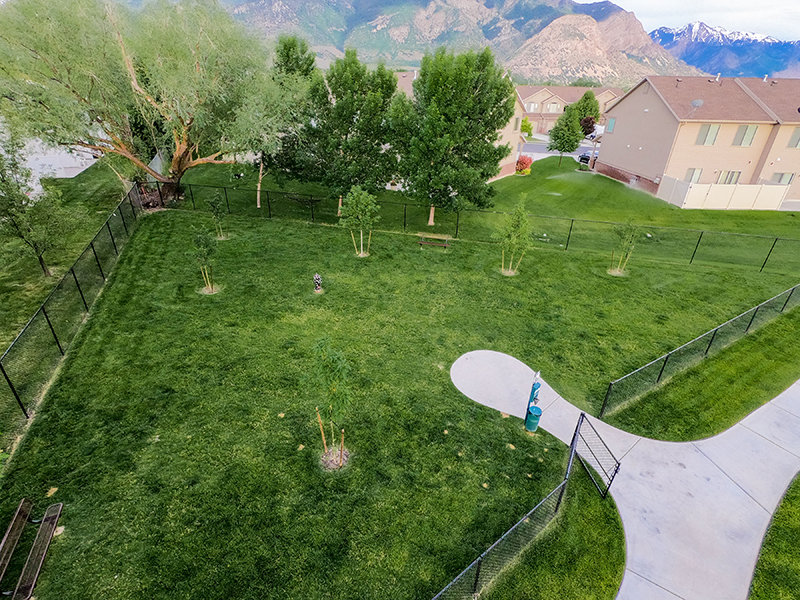 Aerial View of Dog Park | The Ranches Townhomes