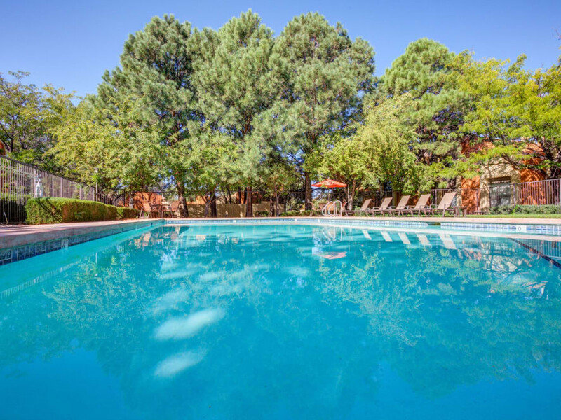 Swimming Pool | Mesa Del Oso Apartments in Albuquerque, NM