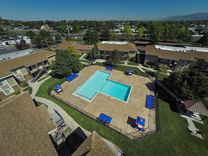 Aerial View of Swimming Pool