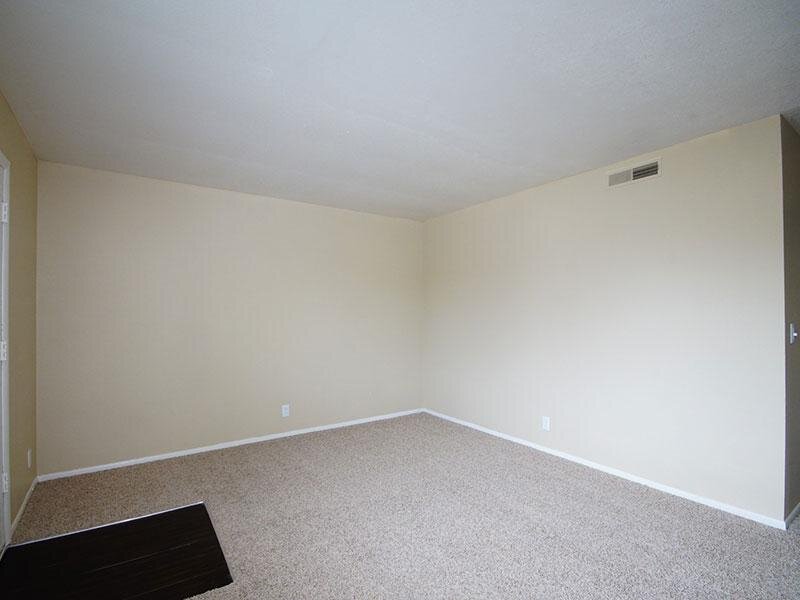 Carpeted Living Area