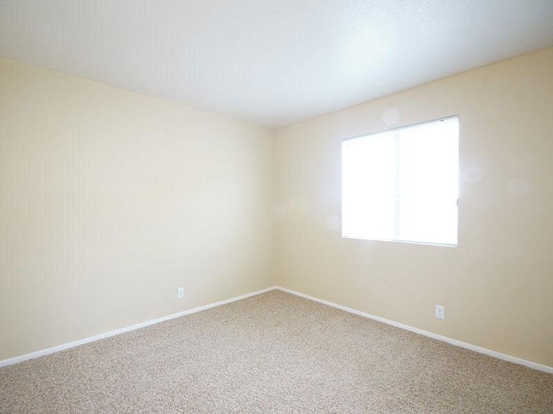 Carpeted Bedroom with Window