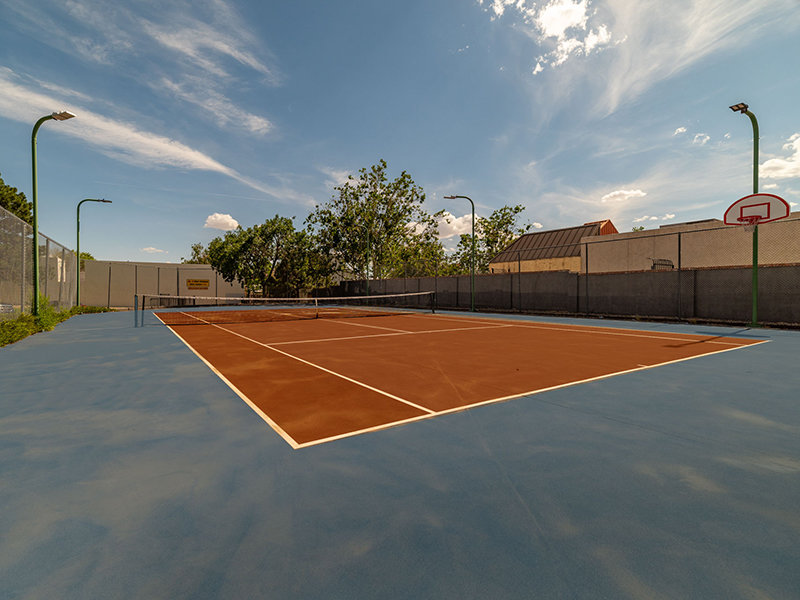 Sports Court | Oak Tree Park Apartments