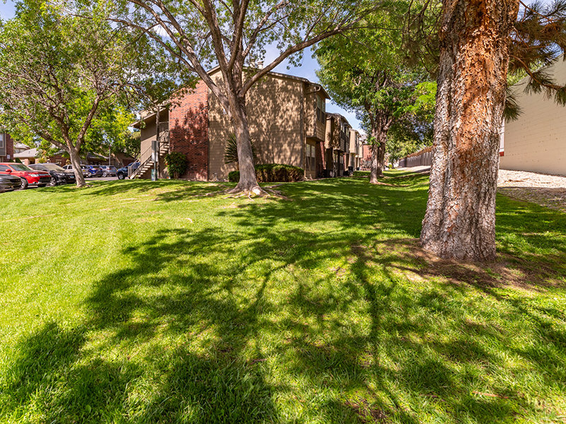Beautifully Landscaped Grounds | Oak Tree Park Apartments