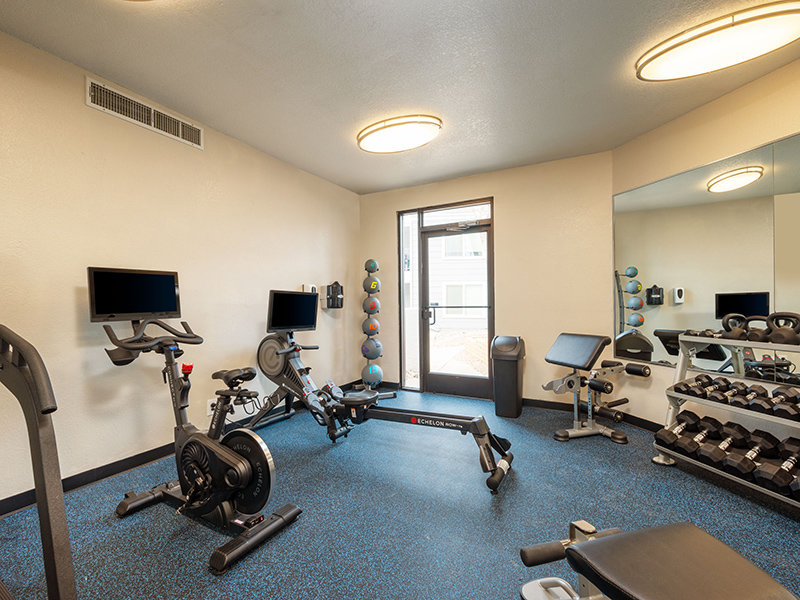 Exercise Room | Villa Serena
