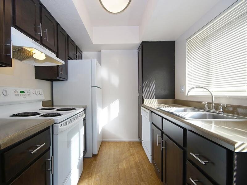 Apartment Kitchen