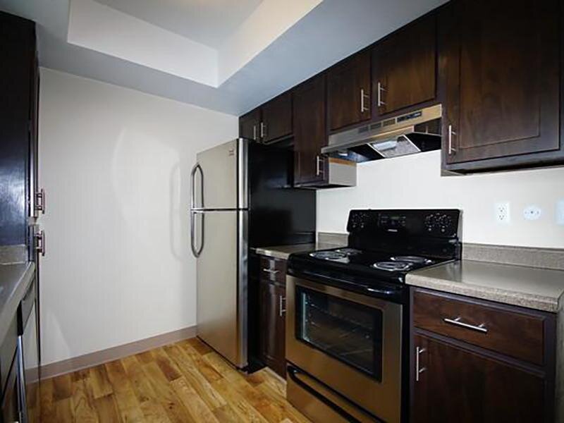 Stainless Steel Stove and Fridge