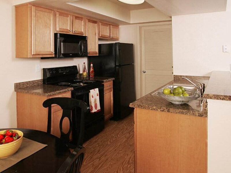 Model Kitchen with Furnishings