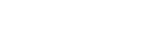Palazzo Logo - Special Banner