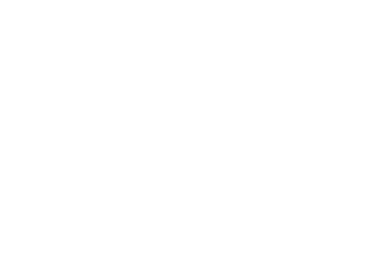 The Moxie Floorplan