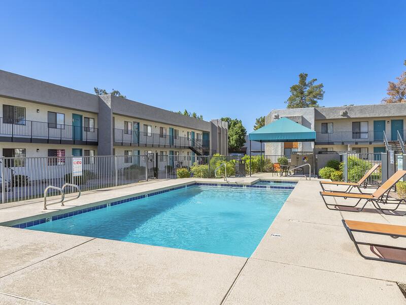 Pool | Omnia on 8th Apartments in Tempe, AZ