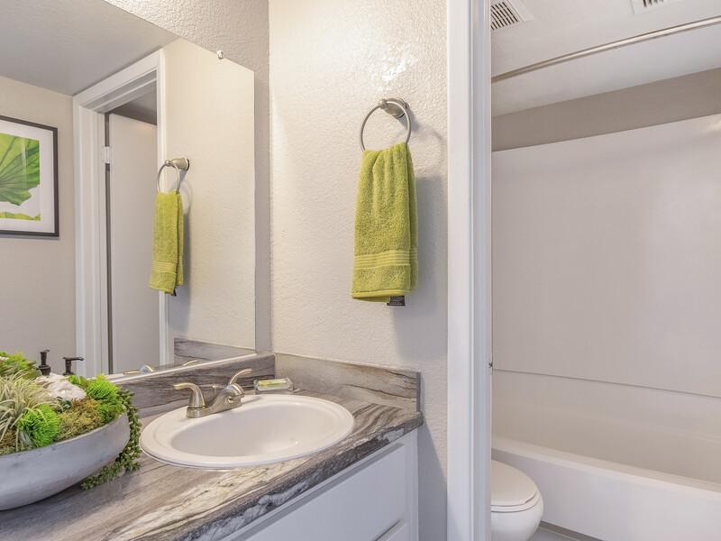 Bathroom Sink | Omnia on 8th Apartments in Tempe, AZ