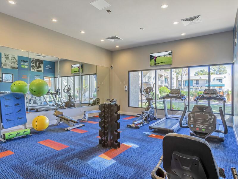 Exercise Equipment | Omnia on 8th Apartments in Tempe, AZ