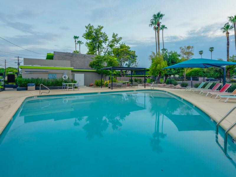 Apartments with a Pool | Omnia McClintock Apartments in Tempe, AZ