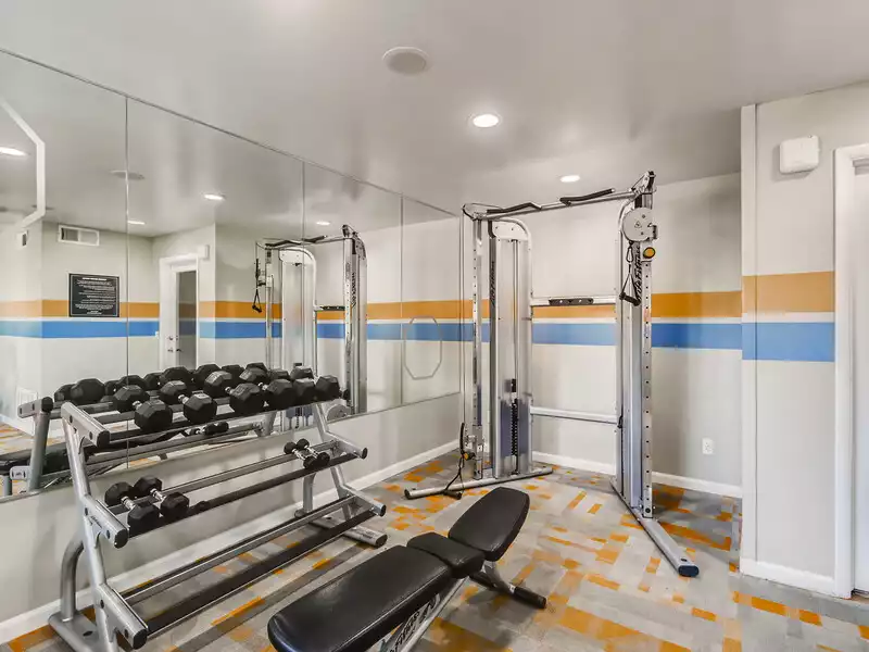 Fitness Center | Omnia McClintock Apartments in Tempe, AZ