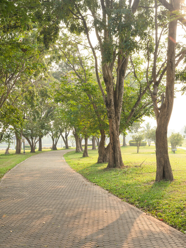 Tallahassee Apts Amenities at The Park at Southwood