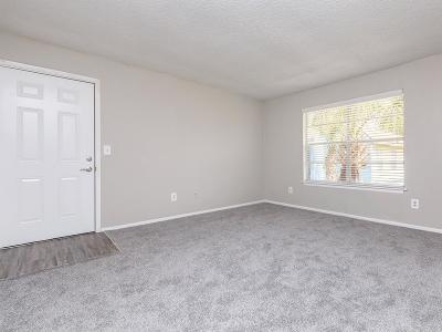 Living Room | Patriot Plaza Apartments in Jacksonville, FL