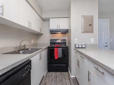 Fully Equipped Kitchen | Patriot Plaza Apartments in Jacksonville, FL
