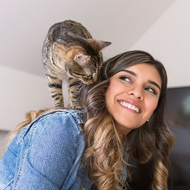 Great Place for Cats